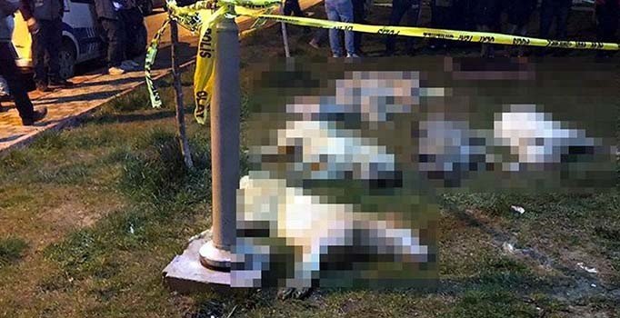 Batıkent'teki köpek katliamında en az 5 yıl hapis talebi