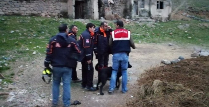 Sarıkamış'ta kaybolan 3 yaşındaki Nurcan aranıyor