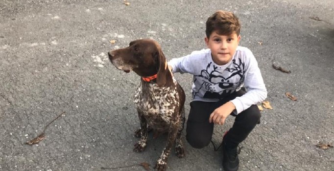 (Özel) Sarıyer’de salyangoz zehri dehşeti: 1 köpek telef oldu, 2’sinin durumu ağır