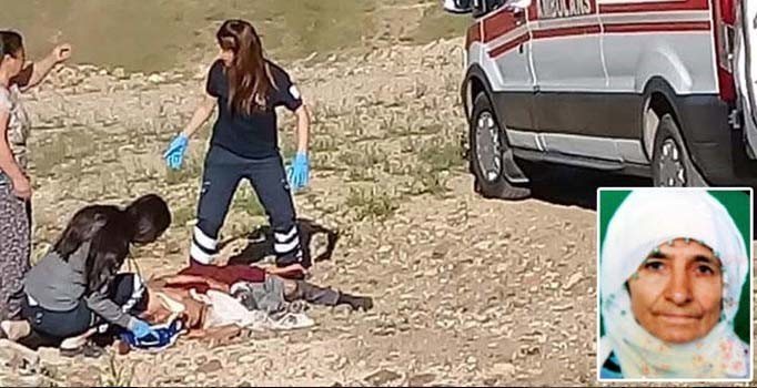 Sokak köpekleri yaşlı kadını öldürdü