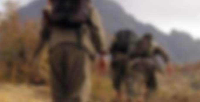 Siirt'te 'gri' kategoride aranan PKK'lı terörist teslim oldu