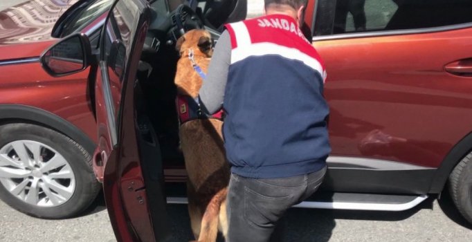 Jandarma'dan uyuşturucu operasyonu: 60 bin uyuşturucu hap ele geçirildi