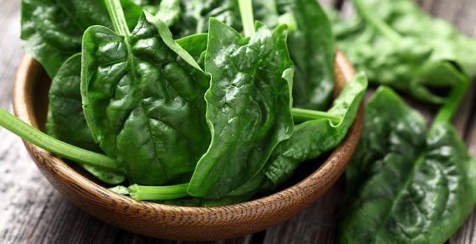 Vücudun sıvı ihtiyacını karşılayan besinler