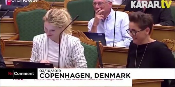 Danimarka parlamentosunda fillere emeklilik tartışması