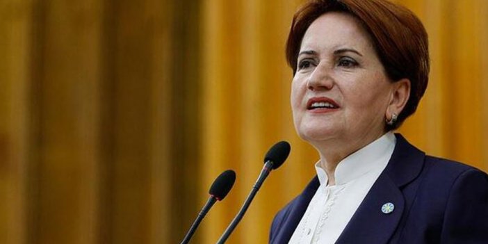 Meral Akşener, Erdoğan'la görüştü programını iptal etti