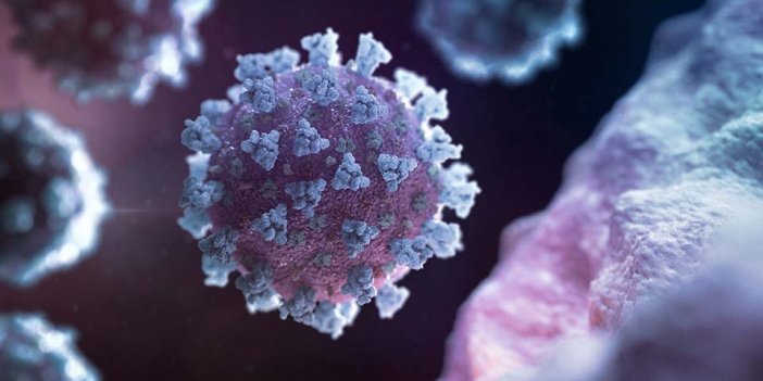 Bilim insanları, D vitamine karşı uyardı: 'Sitokin fırtınası' akciğerleri vuruyor