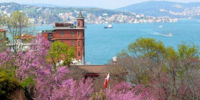 İstanbul'da erguvan vakti