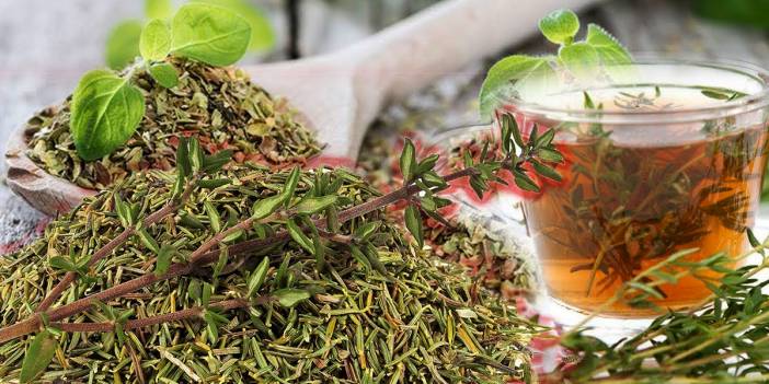 Kekik çayı nasıl yapılır? İşte faydaları