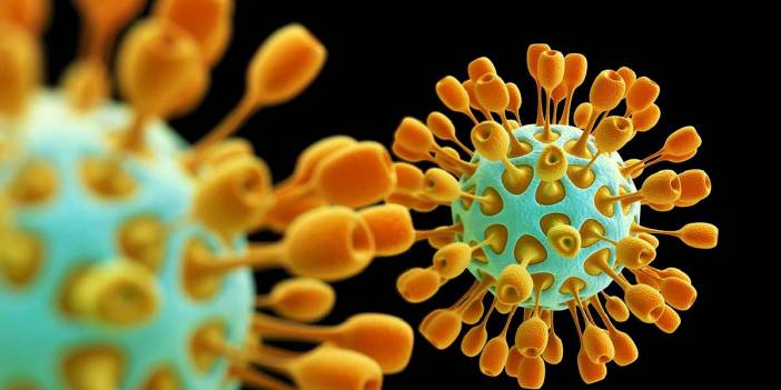 Kovid-19'la mücadelenin tıkandığı an! 'Sitokin fırtınası' vücutta ağır tahribata yol açıyor