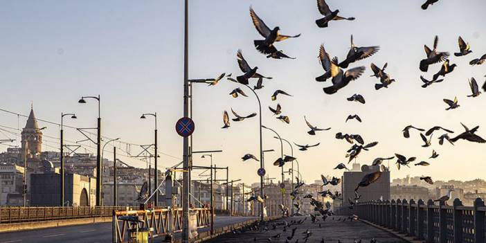 Sokağa çıkma kısıtlamaları ne zaman kaldırılacak?