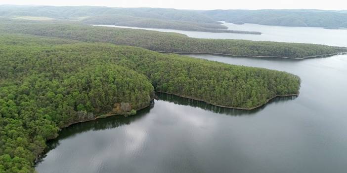 Yağışlar fayda etti: İstanbul'da barajlar dolmaya başladı