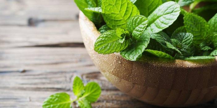 Rüyada nane görmek ne anlama gelir? Hastalık gibi farklı şekillerde yorumlanır