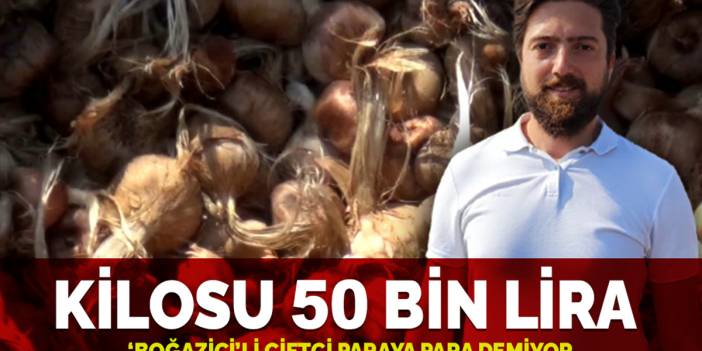 'Boğaziçi'li çiftçi paraya para demiyor! Kilosu 50 bin lira