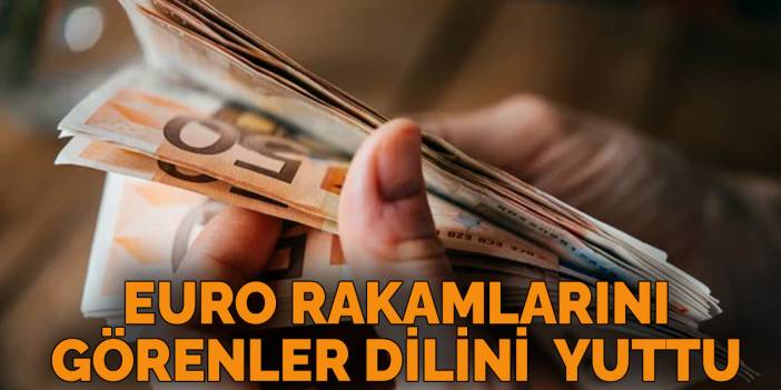 Euro Ters Köşe Yaptı! Dolara odaklananlar Euro rakamlarını görünce dilini yuttu euro da neler oluyor?