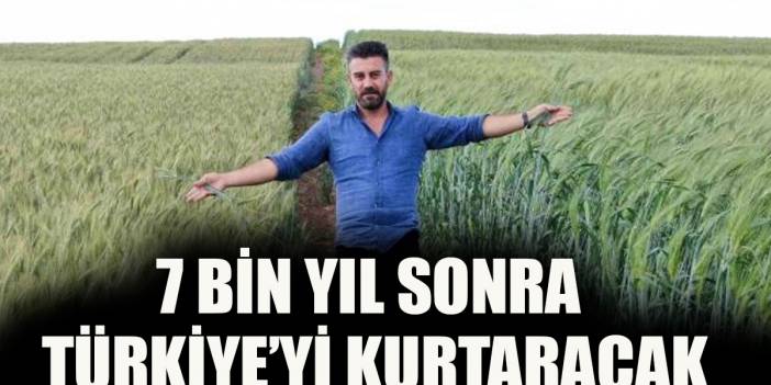 7 Bin Yıllık Uykusundan Uyandı! Türkiye'nin Dertlerini Bitirecek! Kayseri 'de bulundu Diyarbakır'da Yaşama Döndürüldü