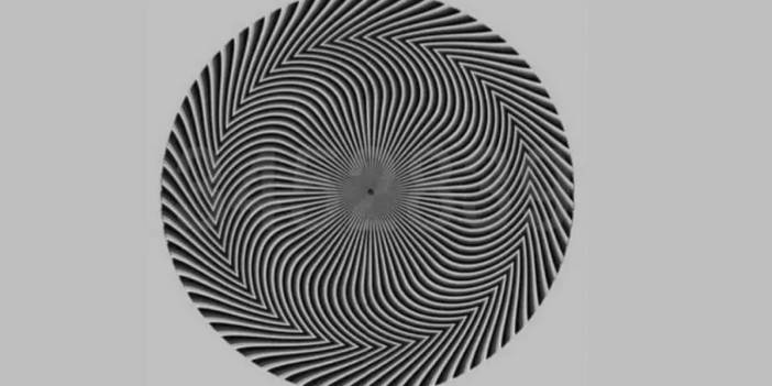Hangi Sayıları Görüyorsun? Viral Oldu Sosyal Medyayı Bölen Optik İllüzyon...