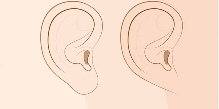 Verrät die Form Ihres Ohrs Ihre ethnische Zugehörigkeit?  Hier ist, was Ohrläppchen sagen ...