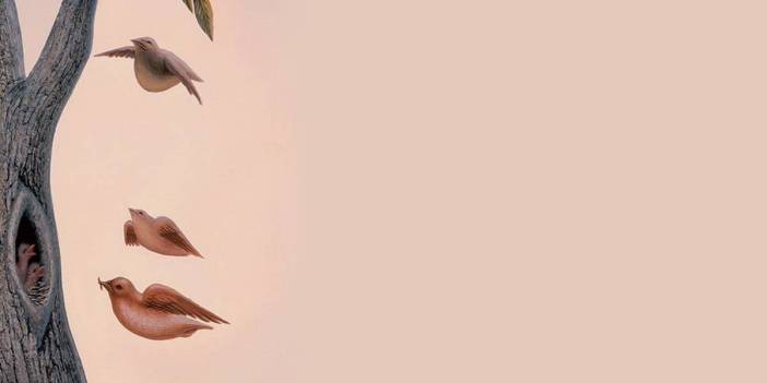 Resimde İlk Gördüğünüz Size Ne Diyor? İşte Hayallerinize Ulaşmanın Kısa Ve Net Yolu