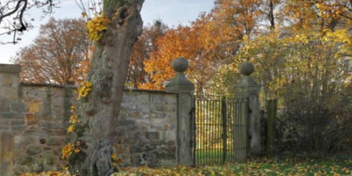 Resimdeki kızı sadece yüz kişiden 2'si bulabiliyor! Resimdeki gizlenmiş kızı 30 saniyede bulanın IQ'su 120 çıkıyor