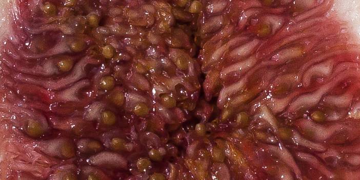 Kabuğunu Soymadan Ye... Üzerine Su İç Mucizeyi Anında Hisset! Nelere İyi Geldiğini Öğrenince Pazara Koşacaksınız...