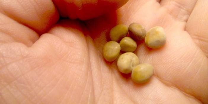 Saç Baş Yolduruyor... Bu Hataları Sakın Yapmayın Sonrası Felaket! Dayanılmaz Ağrılarınızın Sebebi Siz Olabilirsiniz