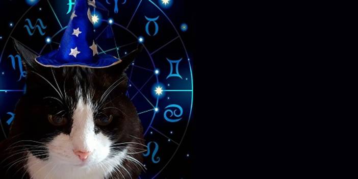 Moon Alert for Horoscope: Don't Make A Decision Or Shop At These Hours!  August 24 Horoscope Comments...