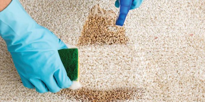 Halılarınızı yıkamadan pırıl pırıl yapabilirsiniz! İşte ilk defa duyacağınız o pratik yöntem