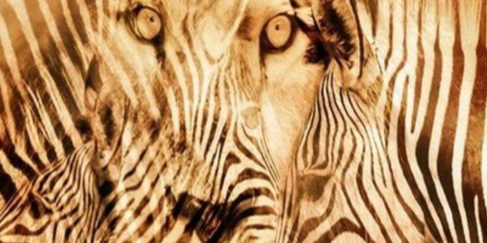 Test: Bak ve kendin hakkındaki tüm gerçeği öğren