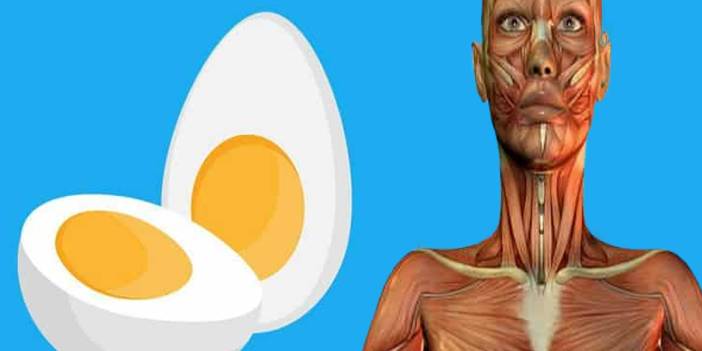 Zaman kaybetmeden kahvaltıda 2 yumurta yemeye başlayın! Vücudunuzda bunlar olacak...