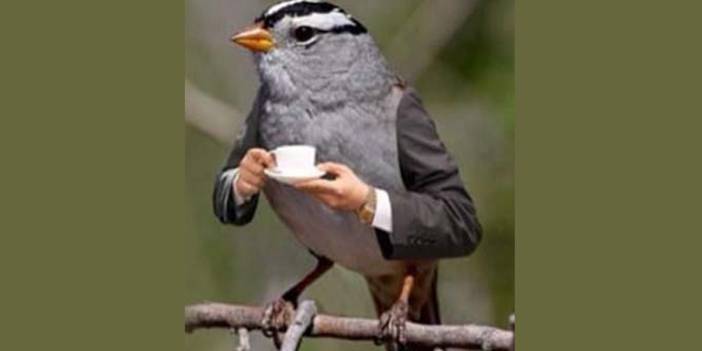 Sıra dışı test: Ne kadar bilge olduğunu öğren! İlk ne görüyorsun?