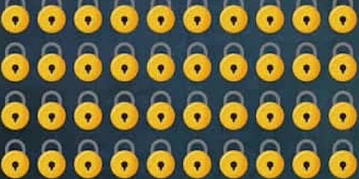 Eğlenceli bulmaca: Görüntülerde diğerlerinden farklı olanı bulun...