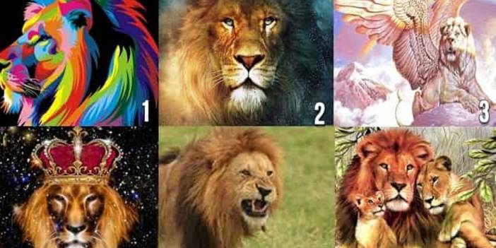 Hayatta nasıl bir partnere ihtiyacınız var? Bir aslan seç ve öğren