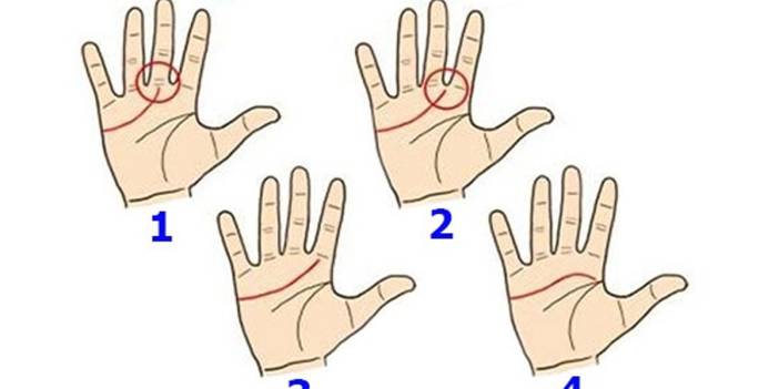 Avucunuzun içindeki kalp çizgisi hayatınız hakkında ne söylüyor?