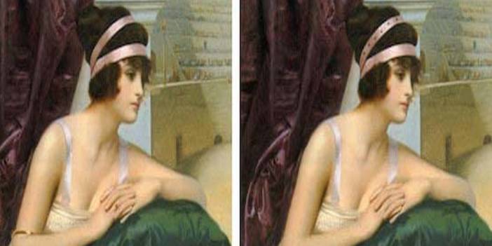 Ne kadar zekisin? Resimlerdeki farklılıkları bul zekanı test et!