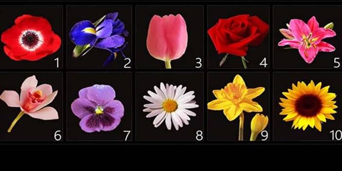 Proven personality test: Psychologists interpret the flower of your choice...