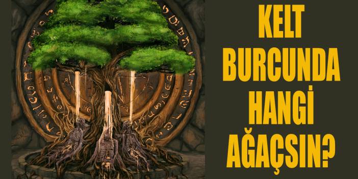 Tüm burçların pabucu dama atılacak! Kelt burçlarına göre sen hangi ağaçsın? İşte senin ağacının anlamı...