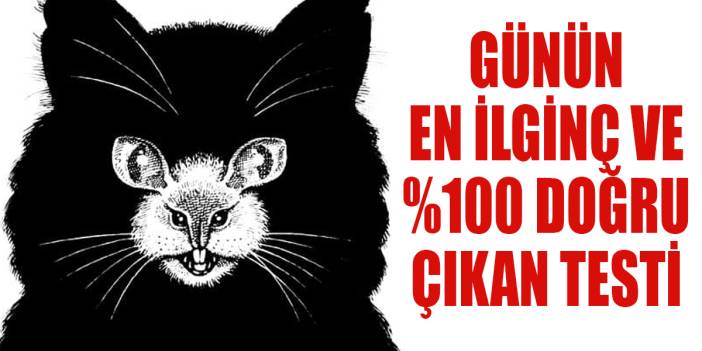 Sosyal medyayı sallayan alışılmadık test: Siz de çözmelisiniz...