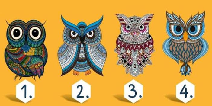 Karakterinizi tüm gerçekliği ile anlatacak! Baykuşunu seç kişiliğini gör!