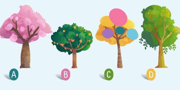 Bir ağaç seçin ve sizi karakterize eden kelimeyi bulun