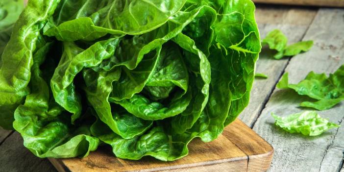 Vejetaryenlere kötü haber: Bitkiler yenildiklerini duyuyor ve gaz çıkararak tepki veriyor...