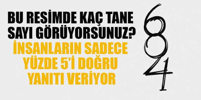 Çok kolay ama insanların yüzde 5'i çözebiliyor! Sosyal medyada olay yaratan zeka bulmacası...