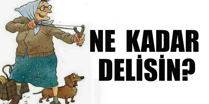 Burcunuza göre delilik seviyen... Hangi burç ne kadar deli?