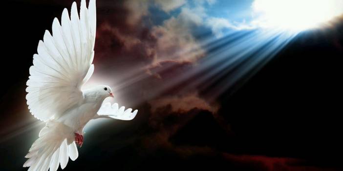 Hayat o burçların yüzüne gülüyor! Hem başarılı hem de şanslı olan burçlar...