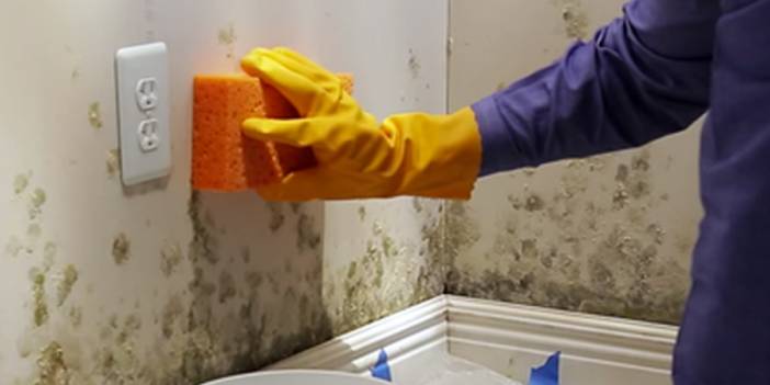 Duvarlar nasıl hızlı temizlenir? Duvar temizlemenin en kolay yolu...