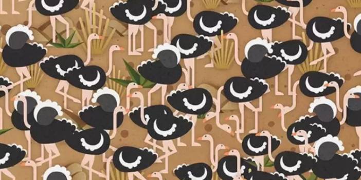 Optik illüzyon testi: Devekuşlarının arasına saklanmış şemsiyeyi 19 saniyede bulabilir misiniz?