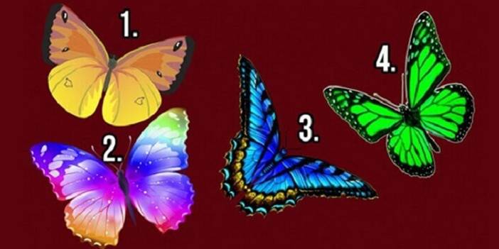 Beğendiğin kelebeği söyle ve ruhunun sırlarını keşfet!