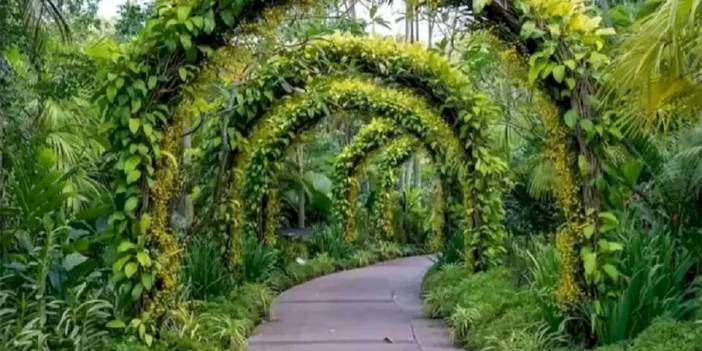 En meşhur optik illüzyon: Resimdeki yılanı 15 saniye içinde bulun (Dikkat bunu çözmeye çalışanlar bir daha düzelmedi)