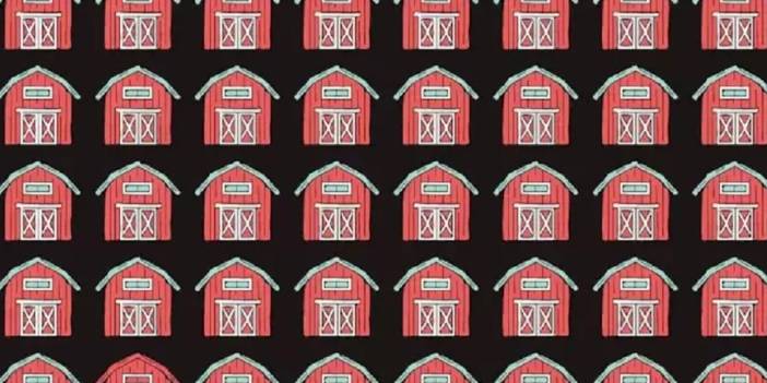 Bu optik illüzyon testini yalnız dahiler çözüyor! Resimdeki farklı ahırı 10 saniyede bulun