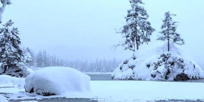 Kendine güvenen gelsin! 10 saniyede isteneni bulun dahiliğinizi gösterin yada ....