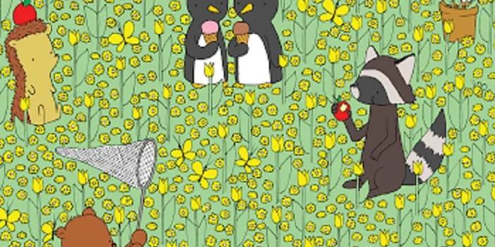 En iyi dikkat ölçen zeka testi: 10 saniye de aptal mısın dahi misin öğreneceksin